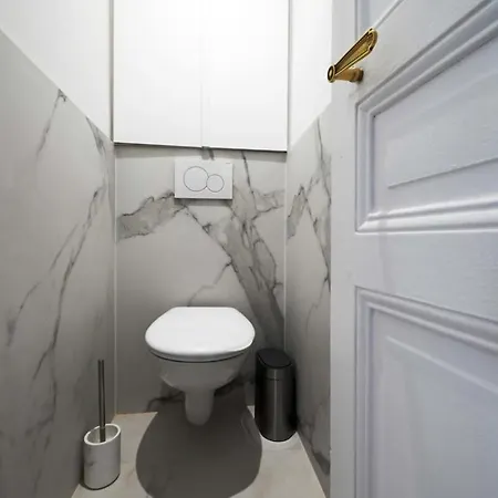 Large Luxury Flat Next To Champs Elysee Paris