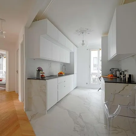 Large Luxury Flat Next To Champs Elysee Apartment *
